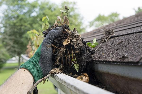 regular gutter cleaning is essential for preventing water damage and maintaining the integrity of your home's exterior